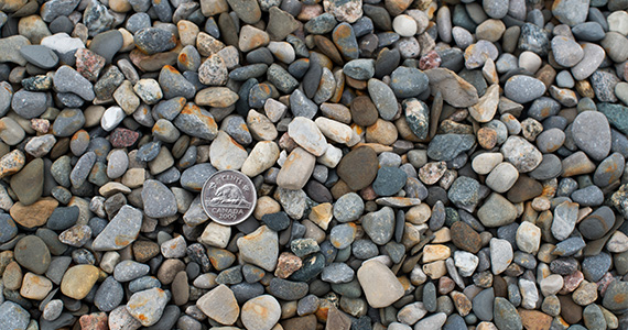 Premium 3/8 Grey Peastone